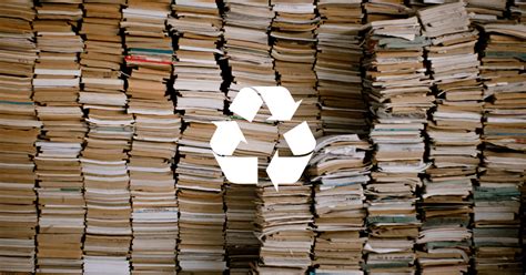 Can You Recycle Books: A Journey Through the Lifespan of Knowledge