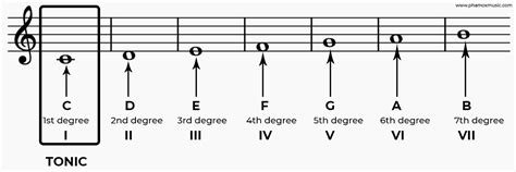 Tonic Music Definition and Its Endless Exploration